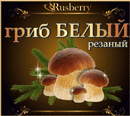 Гриб белый